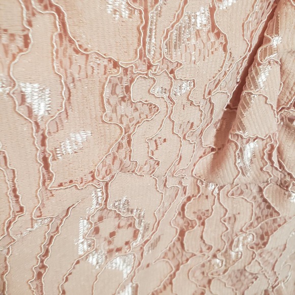 Cynthia Steffe Dress 12 Lace Rose Pink Sleeveless Party Cocktail Fit Flare NWT - Picture 5 of 9